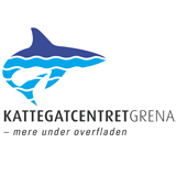 Research om kundebehov 