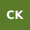 Clever Kite